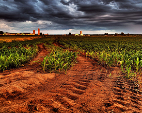 土壤測(cè)試儀 土壤測(cè)試儀
