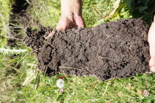 肥料養(yǎng)分檢測(cè)儀 肥料養(yǎng)分檢測(cè)儀