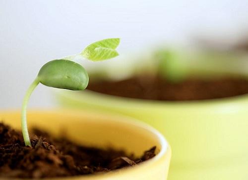 1631153871436255.jpg 21.jpg